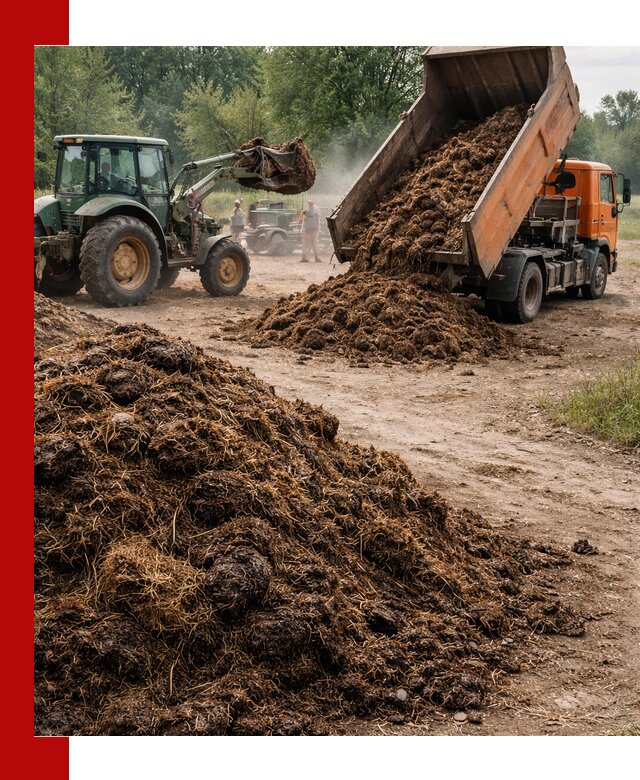 Доставка навоза самосвалами в Каменске-Шахтинском для сельхозпотребностей